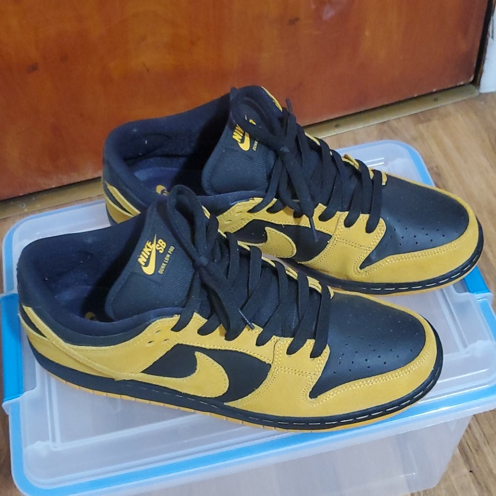 Nike SB size 13